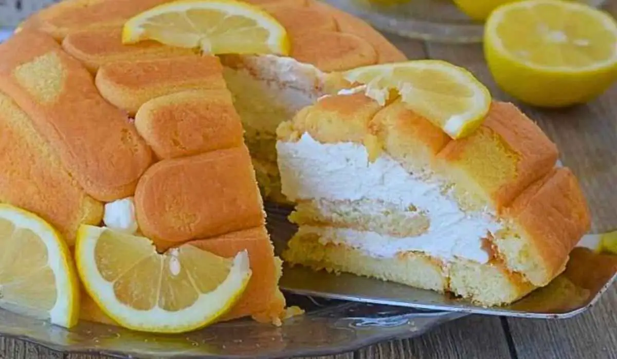 Charlotte au Yaourt et Citron Sans Cuisson