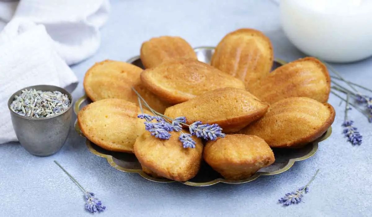 Les Madeleines Traditionnelles